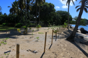 Pointe-Marin-2-Martinique-1024×683