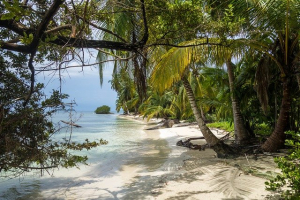 beach-4388225_640