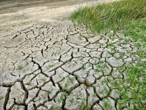 climate-change-2241061_640